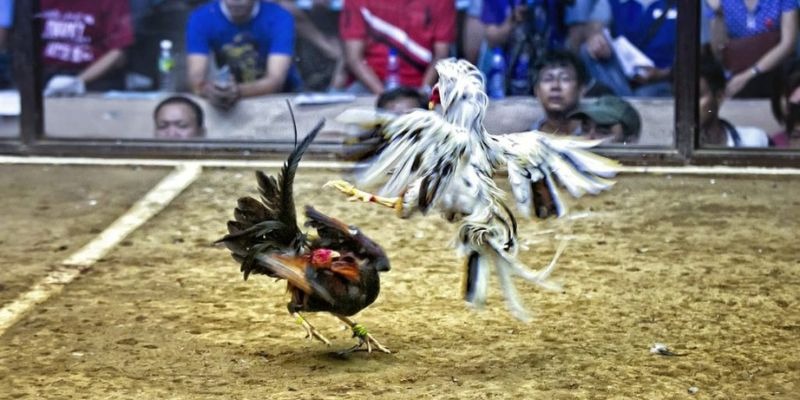 866mm live ﻿đăng nhập lô đề uy tín
