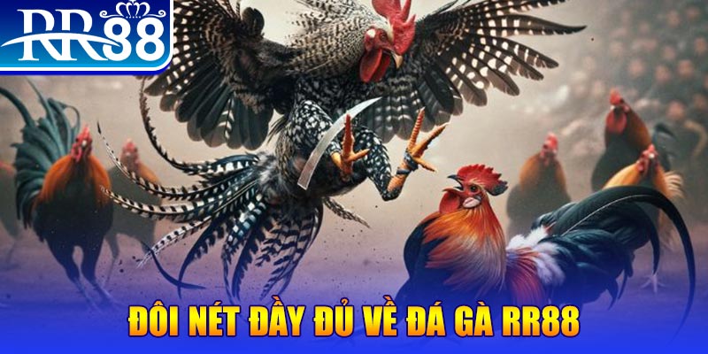 866mm live gà chọi hoà phong