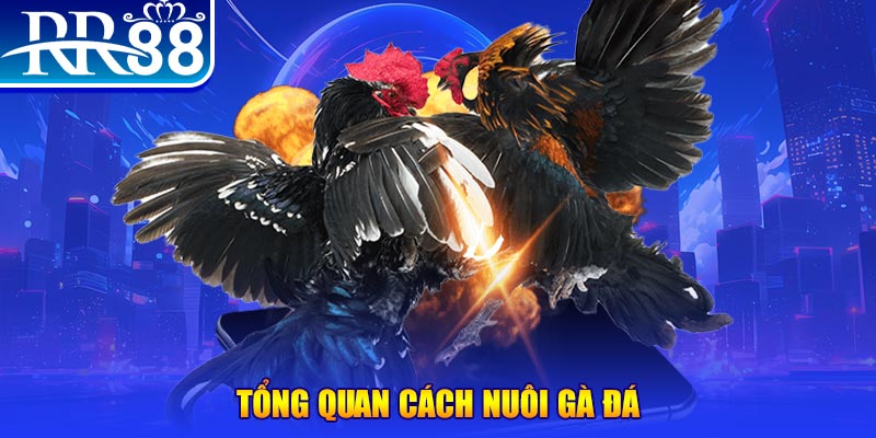 866mm live xổ số thứ ba