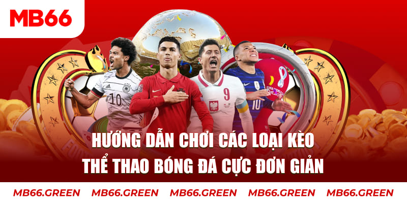 866mm live nỗ hủ là gì