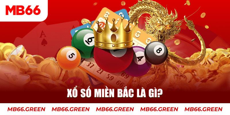 866mm live đá gà 88