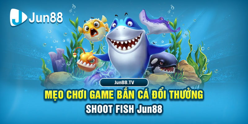 866mm live tải game đánh bài online về máy tính