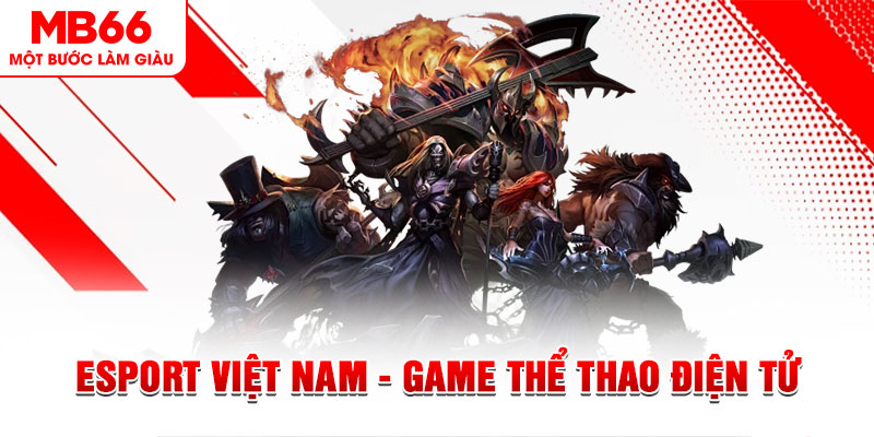 866mm live PT Điện Tử