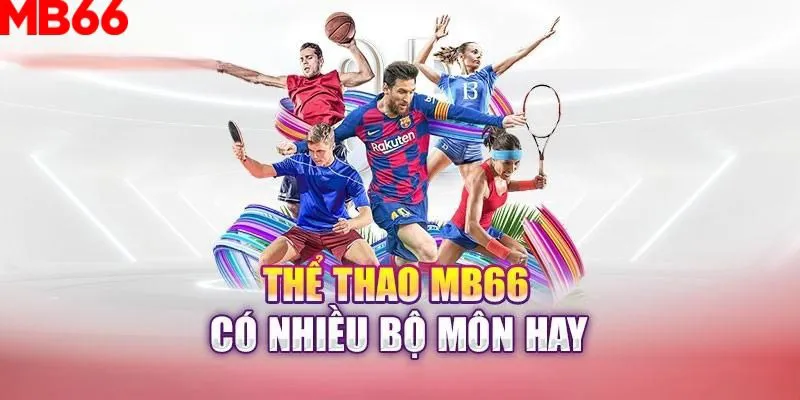 866mm live slot là gì nghĩa