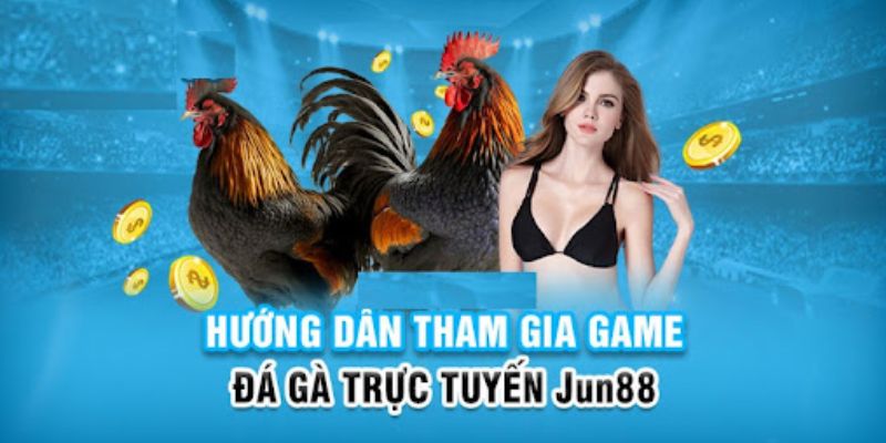 866mm live slot có nghĩa là gì