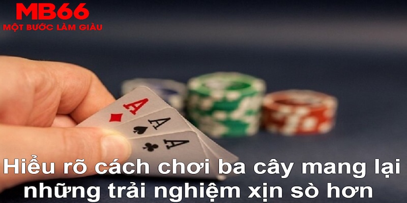 866mm live DB Trực Tuyến