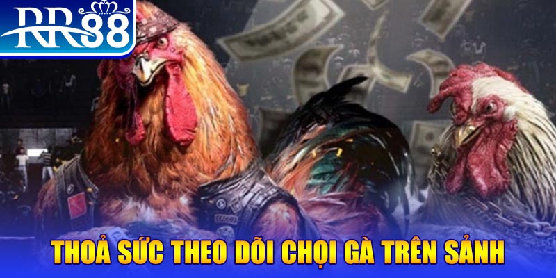 866mm live casino online là gì