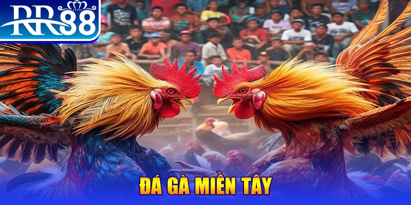 866mm live download game danh bai iwin ve may tinh
