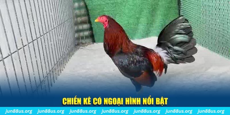 866mm live nhạc slot là gì
